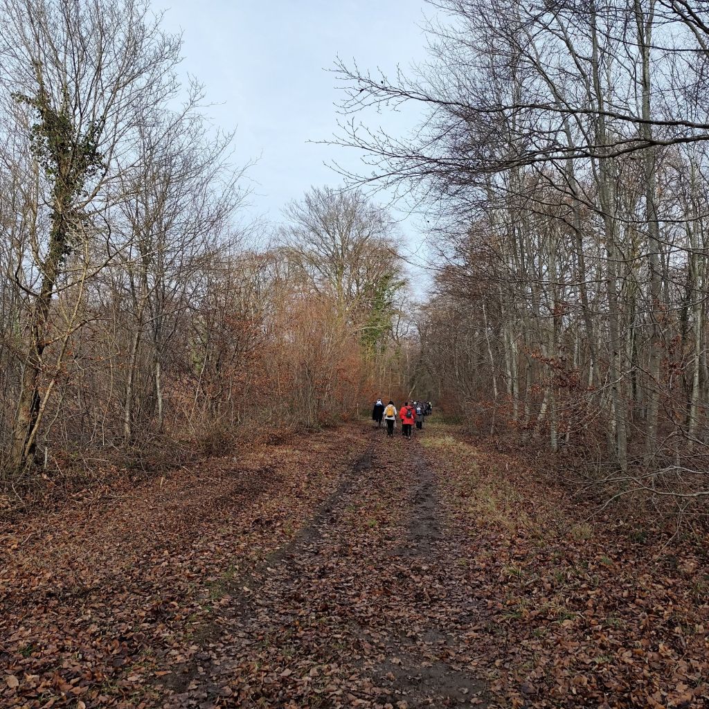 Folembray crédit photo Pierre Babled